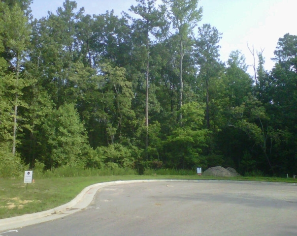 2011 JULY Homes By Dickerson - Dark Forest Dr -3