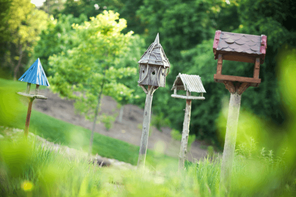Bird Houses art