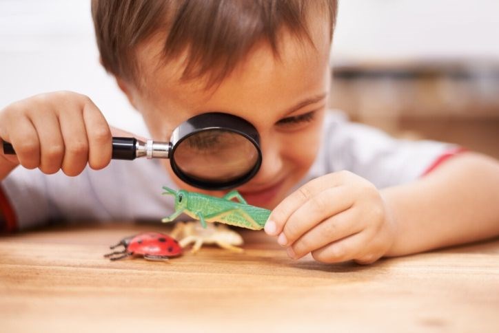 Boy looking at pretend bugs through magnifying glass